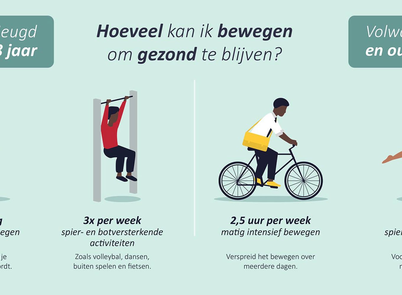De beweegrichtlijnen voor volwassenen - Bron: allesoversport.nl